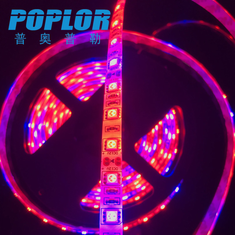 LED Plant Growth soft light strip set drip glue waterproof light strip 5050 Low voltage 12V