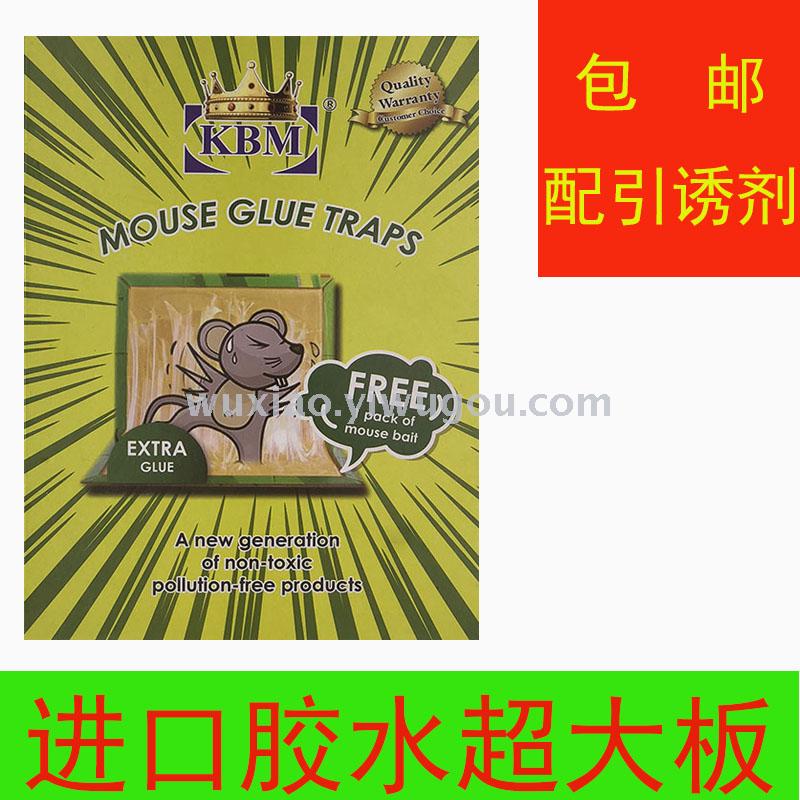 大号超强力粘鼠板老鼠贴捕鼠老鼠胶灭鼠