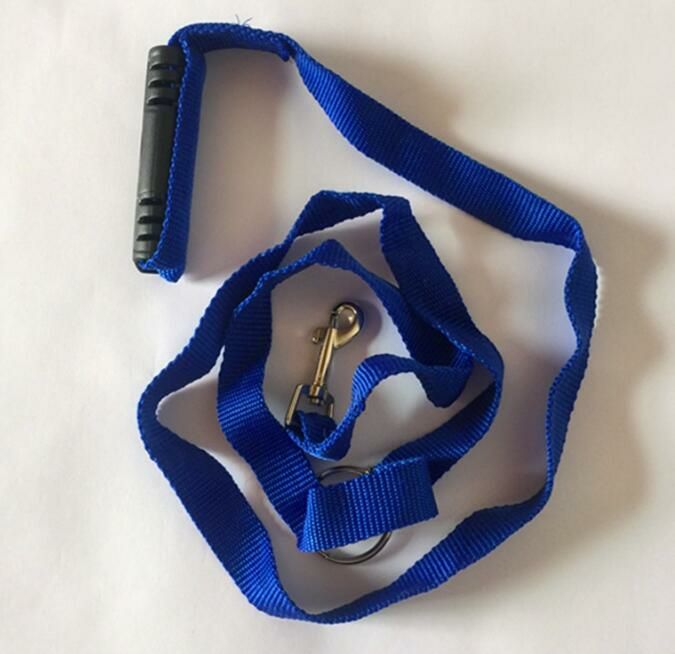 the instant trainer leash 溜狗绳细节图