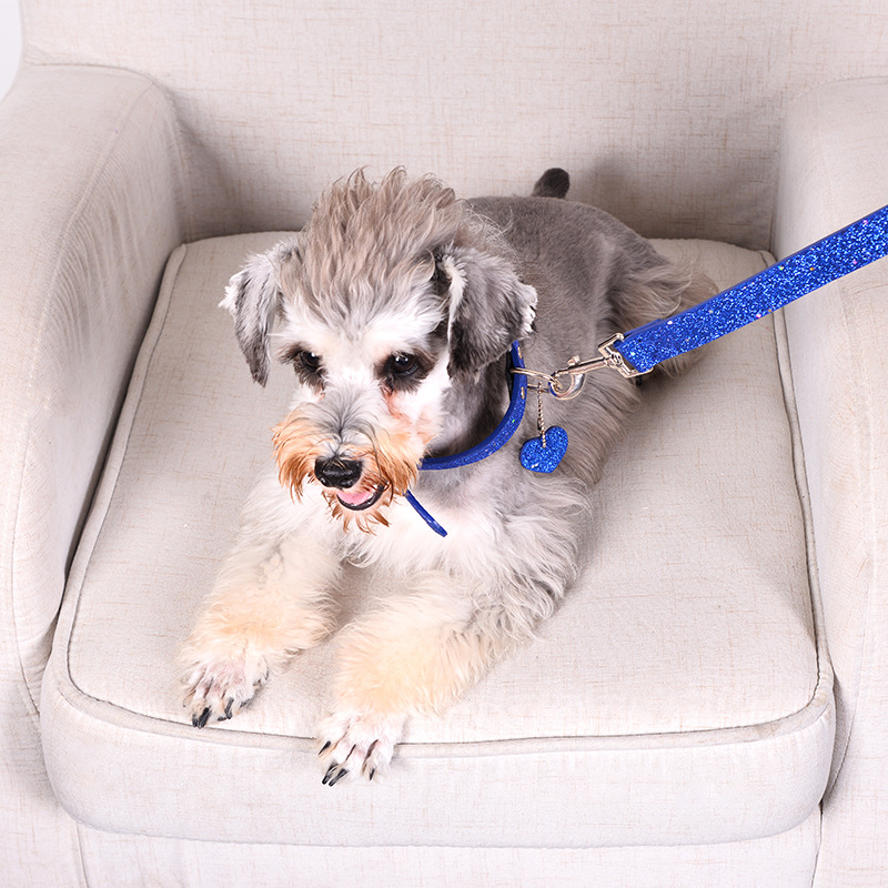 Wholesale of popular and trendy pet dog collars and leashes on AliExpress Specification image