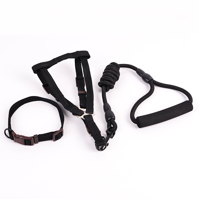 狗狗牵引实物图