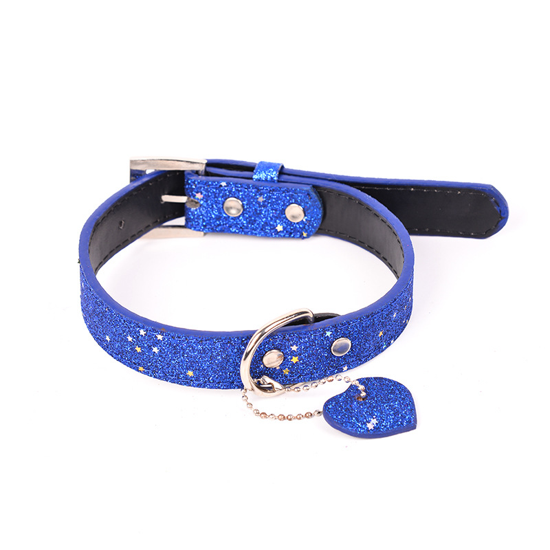 Wholesale of popular and trendy pet dog collars and leashes on AliExpress Application Scenario