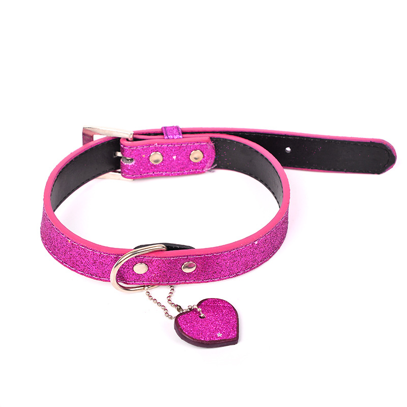 Wholesale of popular and trendy pet dog collars and leashes on AliExpress details Picture