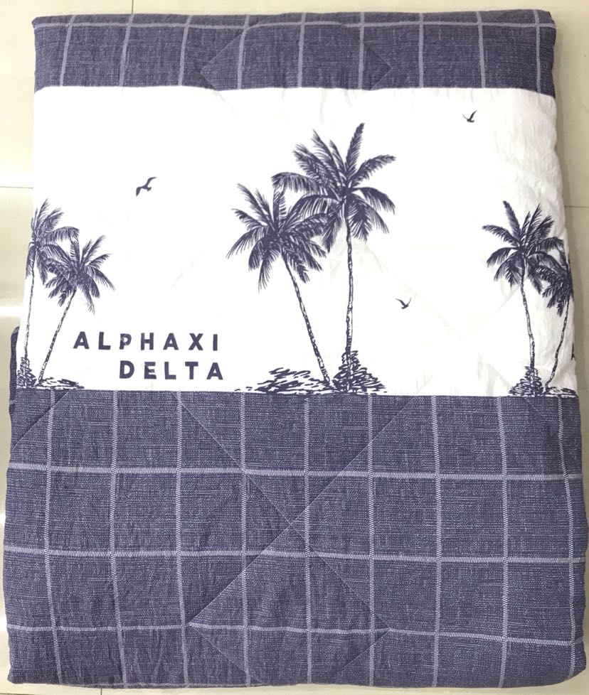 水洗棉夏被羽丝绵纯棉棉花夏凉被空调被子薄被子夏季被子图