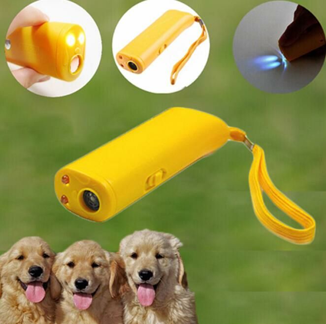 宠物产品图