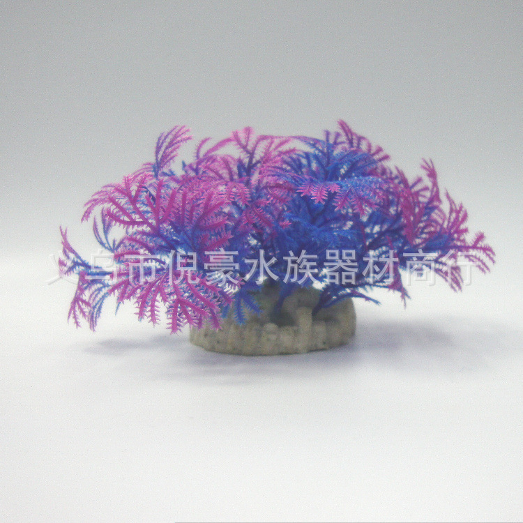 The best-selling round-bottomed small water plant and small fish tank aquarium landscape decoration is suitable for the mixed installation of simulated plastic small water plants details Picture