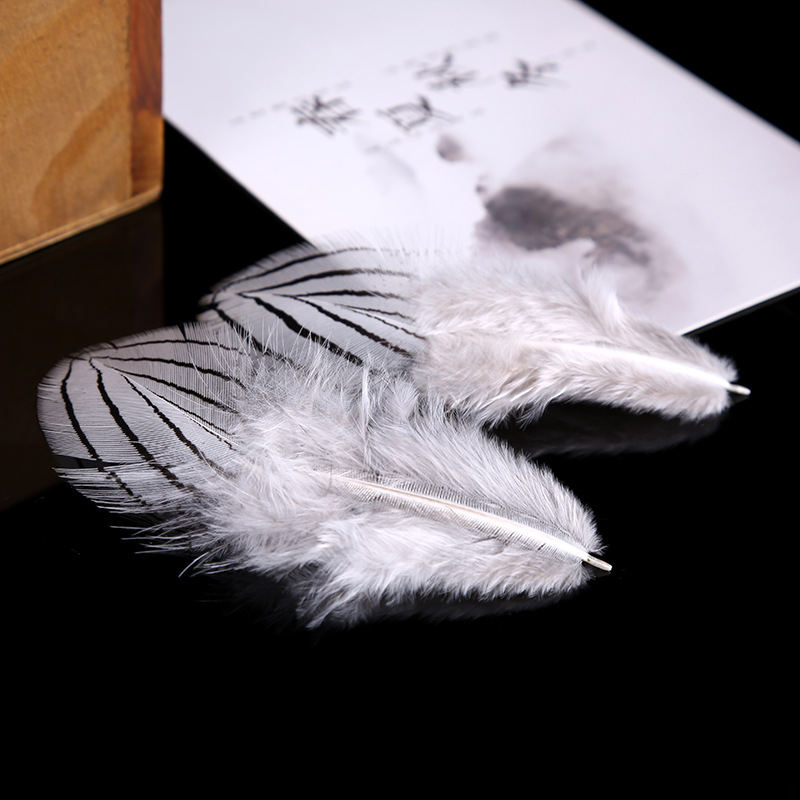 纯天然羽毛厂家直销批发 4-8cm规格银鸡毛 饰品配件羽毛热销细节图