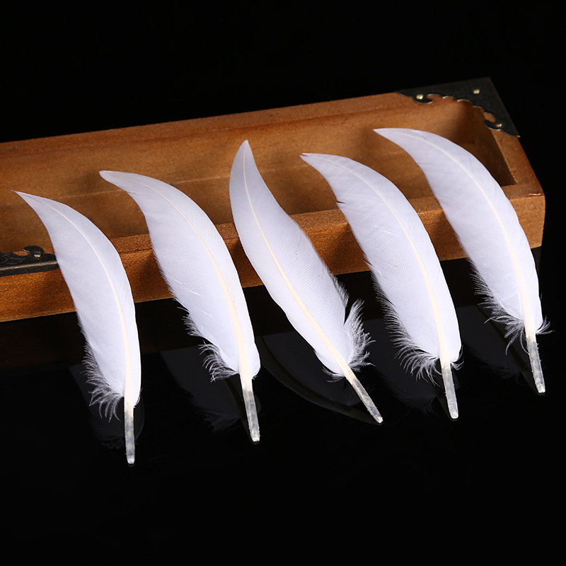Stock Supply Of Shuoyao Goose Scimitar Feather Sky Goose Feather Two-Color Optional Home Decoration Materials Specification drawing