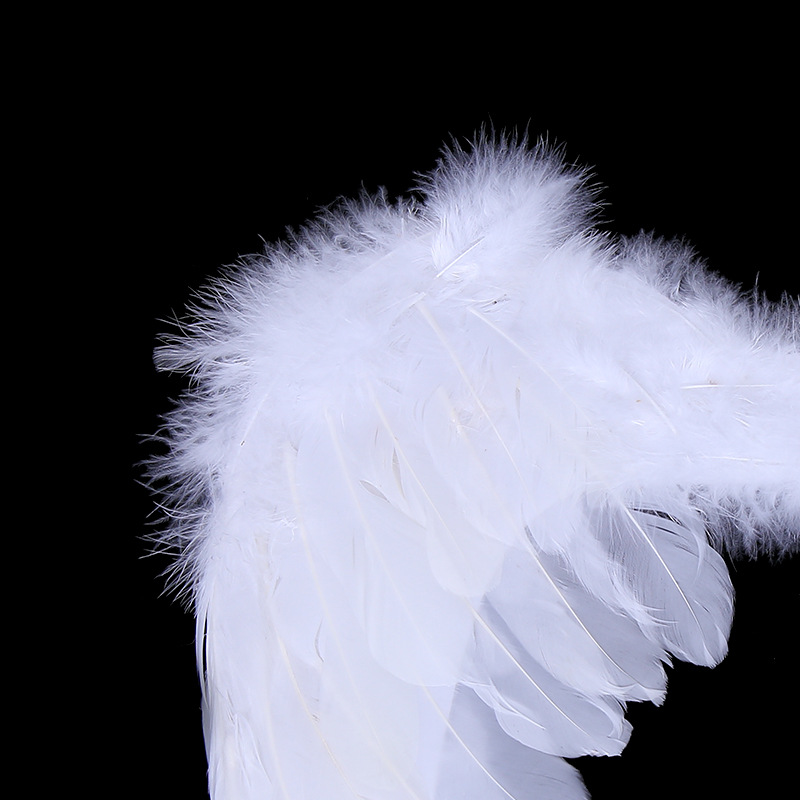 羽毛、羽绒实物图