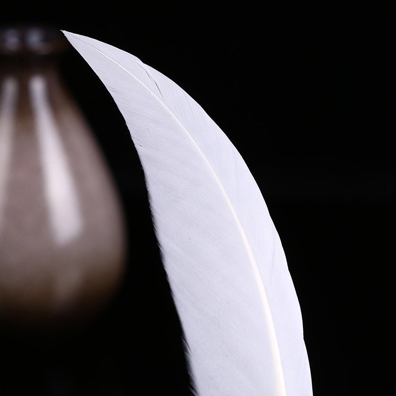 Stock Supply Of Shuoyao Goose Scimitar Feather Sky Goose Feather Two-Color Optional Home Decoration Materials Application Scenario