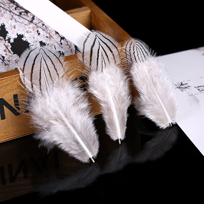 纯天然羽毛厂家直销批发 4-8cm规格银鸡毛 饰品配件羽毛热销产品图