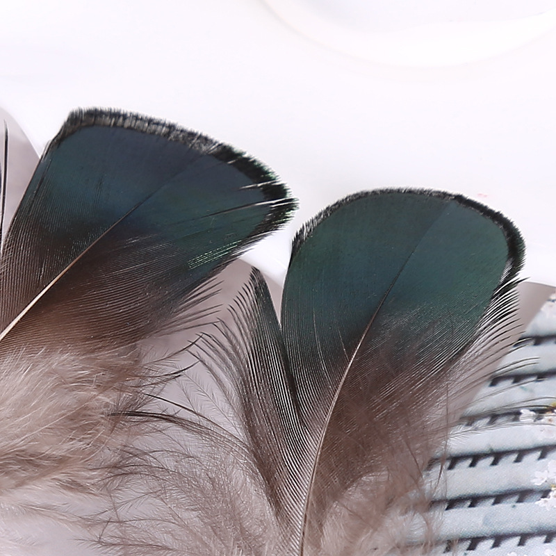 厂家直销批发羽毛 纯天然色铜鸡绿片羽毛 40-70mm羽毛详情图2