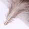 厂家直销批发羽毛 纯天然色铜鸡绿片羽毛 40-70mm羽毛细节图