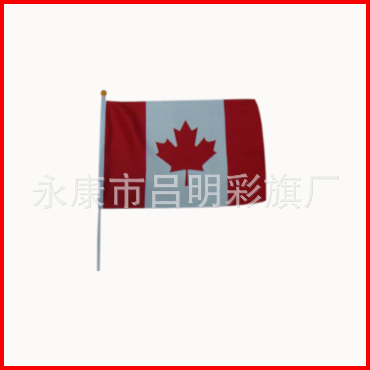 供应14*21cm沙特阿拉伯手摇旗 厂家直销涤沦布旗帜细节图