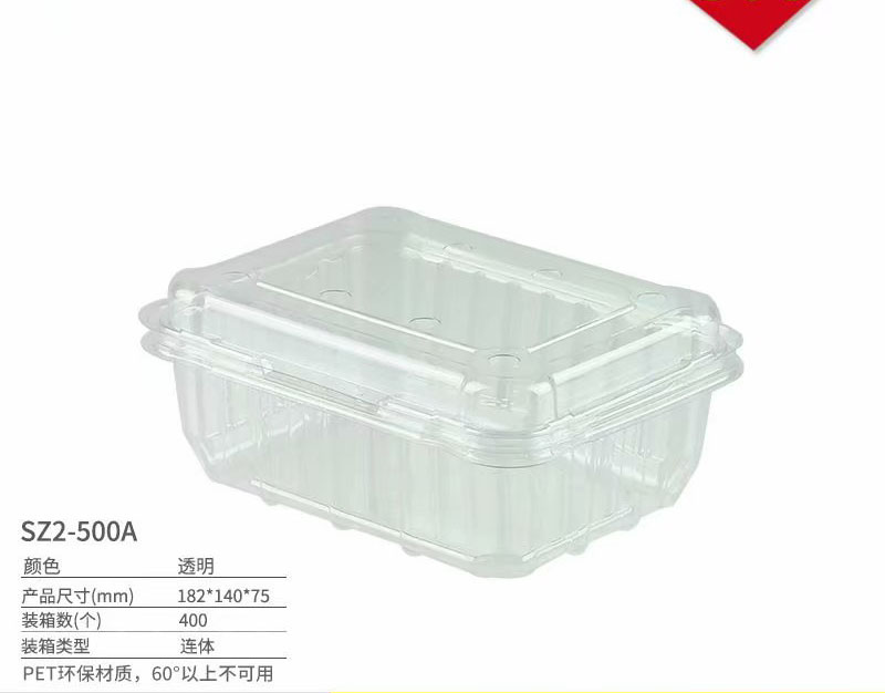 pet一次性水果保鲜打包盒500g产品图