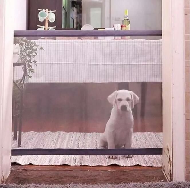 宠物门栏实物图