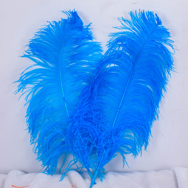 Factory Direct Sales * Ostrich Hair 70-75 Cm *Diy Wedding Feathers, Hotel Decorative Feathers Stage Performance Application Scenario