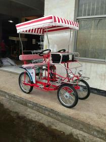Adult go-kart electric car tricycle twister moped bicycle walker
