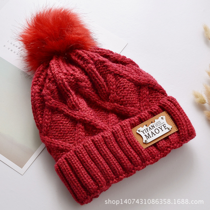Ladies' autumn and winter Korean-style rabbit fur trendy warm fleece label woolen knitted hat, fleece thickened woolen hat details Picture