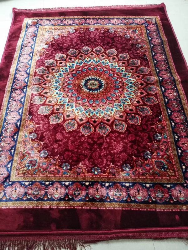 2022 New factory direct sale bestseller Jiali Lily New living Room Carpet 200*300cm details Picture