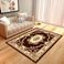 欧式3d印花地毯客厅卧室玄关地毯产品图