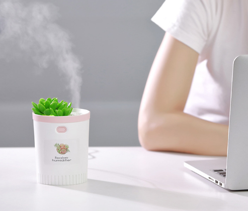 USB mini humidifier, succulent humidifier, car, office, desktop potted plant humidifier, water replenishing device Application Scenario