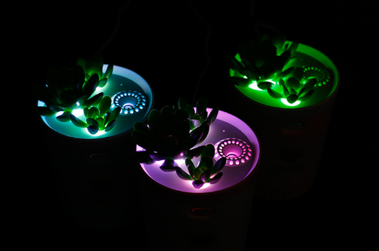 USB mini humidifier, succulent humidifier, car, office, desktop potted plant humidifier, water replenishing device Specification image