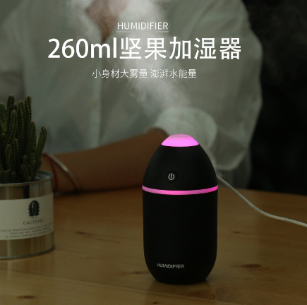 New nut humidifier USB mini car office Hydrating device for facial humidification