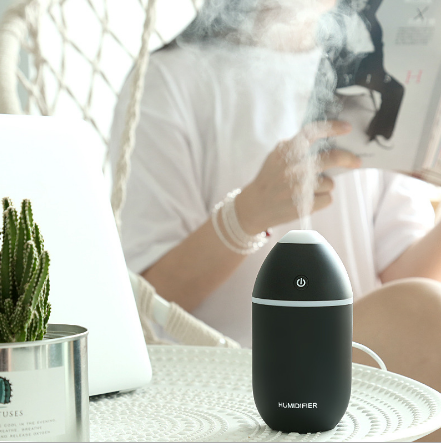 New nut humidifier USB mini car office Hydrating device for facial humidification details Picture