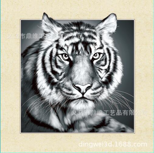 厂家直销5D立体画批发 定制三维 3D立体装饰画 生产各种3D产品产品图
