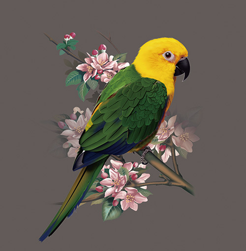 厂家生产定制3D立体水箱 高清5D画 喜鹊立体画 水箱3D立体画芯