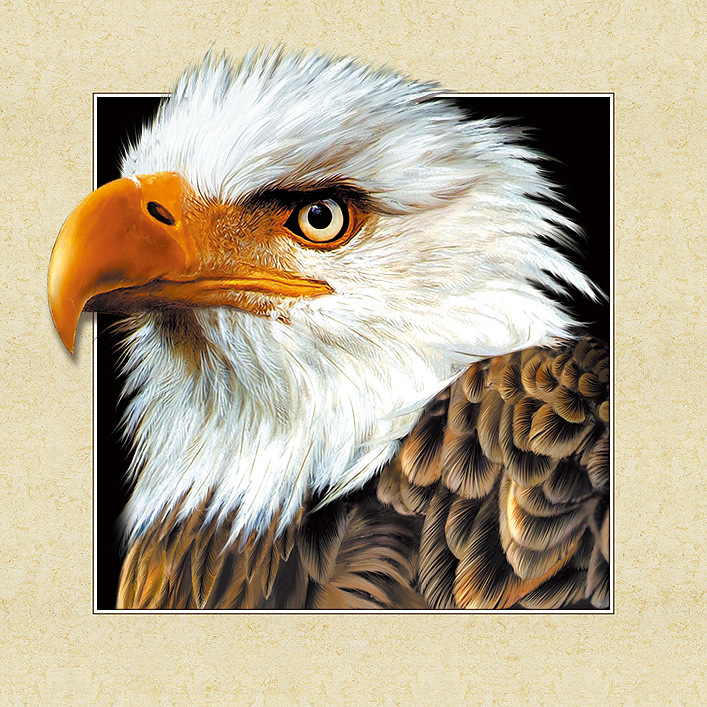 现代装饰画实物图