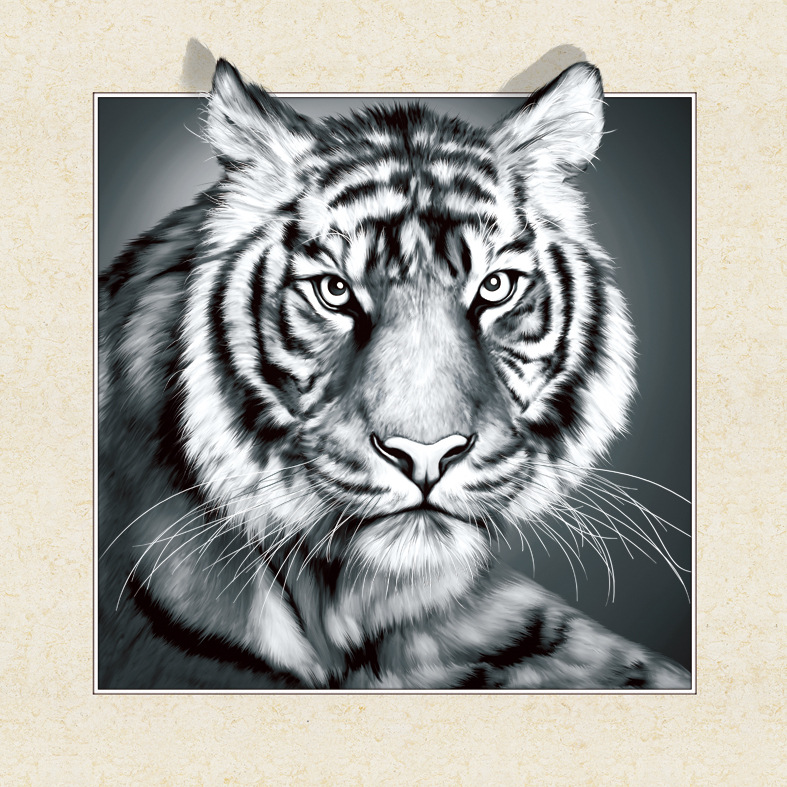 其他字画实物图