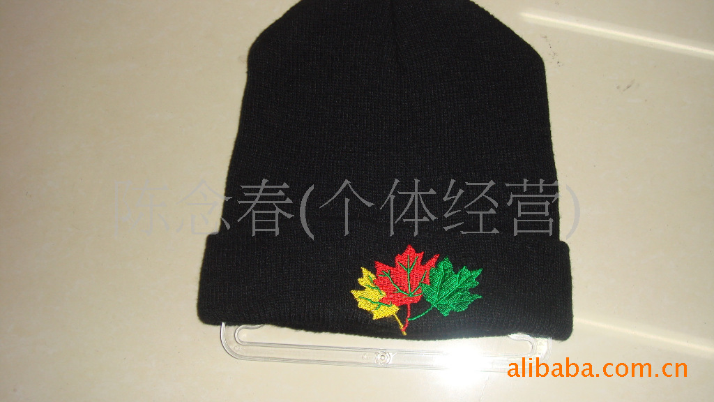Embroidered hat, knitted hat, ski hat, winter hat, mountain snow hat details Picture