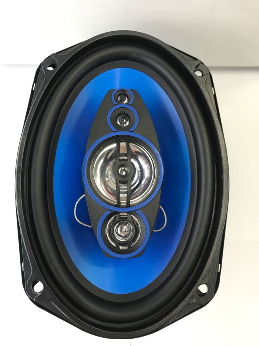 Factory Direct Sales Ts-6971 6*9 Inch Loudspeaker Car Horn Car Loudspeaker