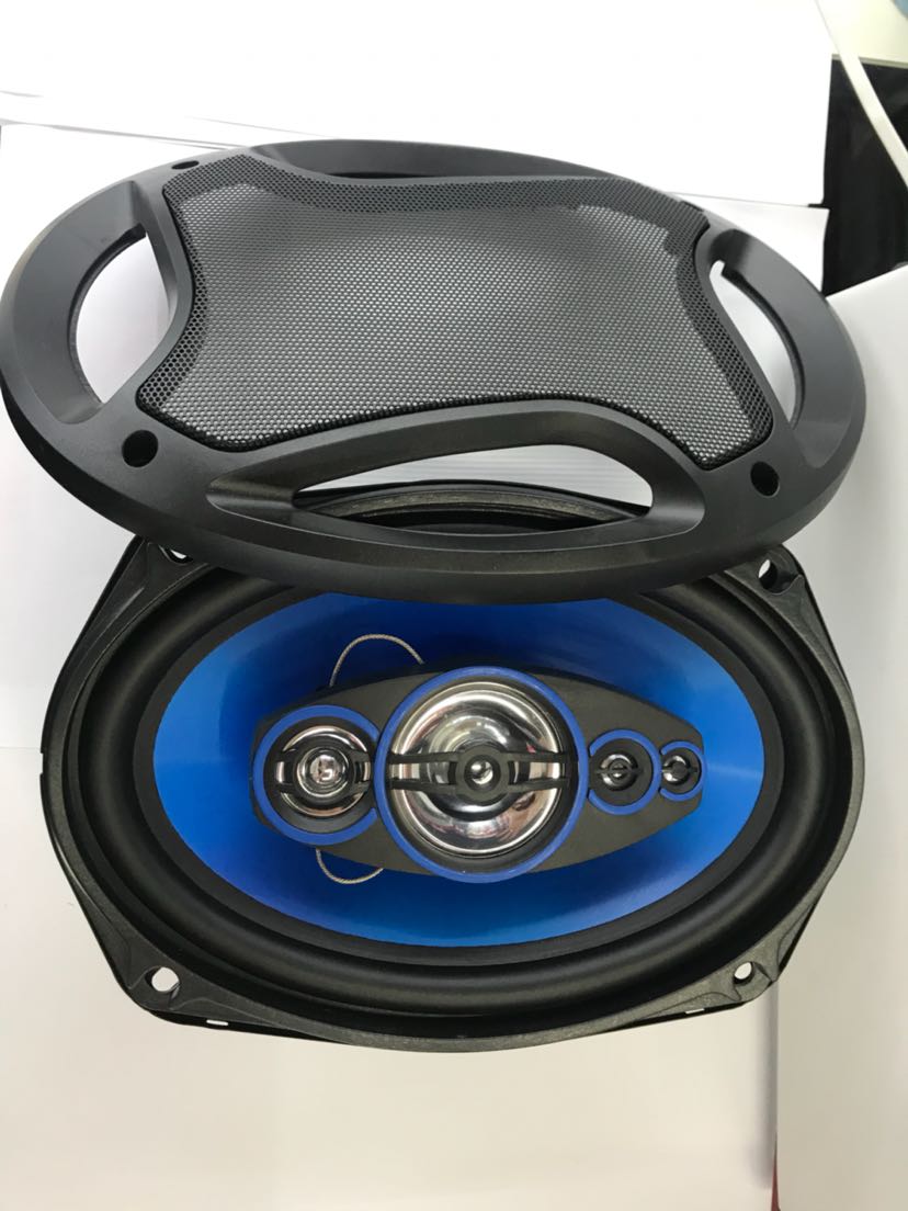 Factory Direct Sales Ts-6971 6*9 Inch Loudspeaker Car Horn Car Loudspeaker details Picture