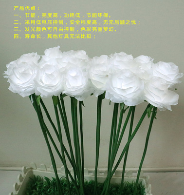 LED rose sea reed wheat ear lamp waterproof rose ground insert lamp 12V safety voltage spot supply