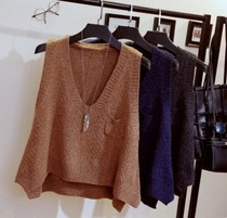 Sweater vest women's short V-neck vest sleeveless sweater coat
