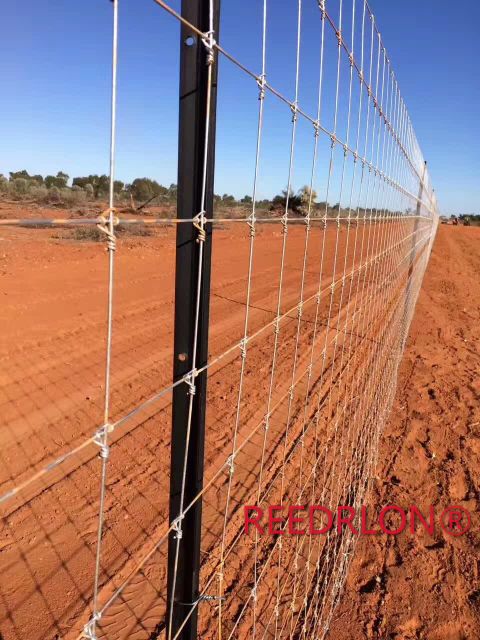 REEDRLON fixed knot steelfence养鹿网