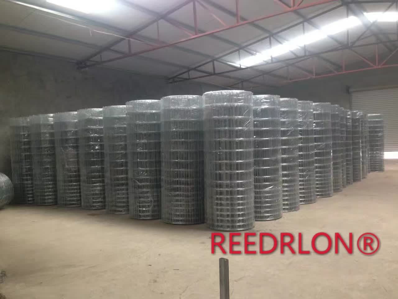 REEDRLON fixed knot steelfence Deer Farming Net Application Scenario