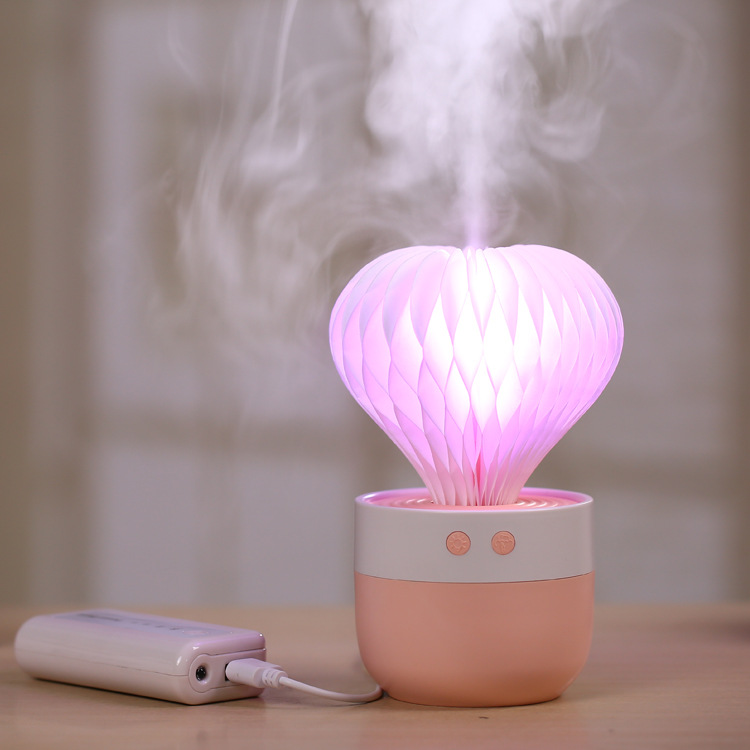 Cactus Humidifier mini Cactus humidifier