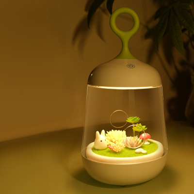 新款小夜灯微景观植物灯led灯植物音乐灯手产品图