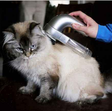 SP Electric pet hair suction device Portable pet massage and cleaning vacuum cleaner Specification image