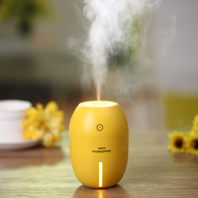 Cross-border e-commerce brand new lemon humidifier Mini USB humidifier customized logo