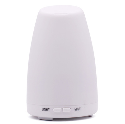 Ebay Amazon Wish Mini Humidifier bottle aromaiser nose customizable