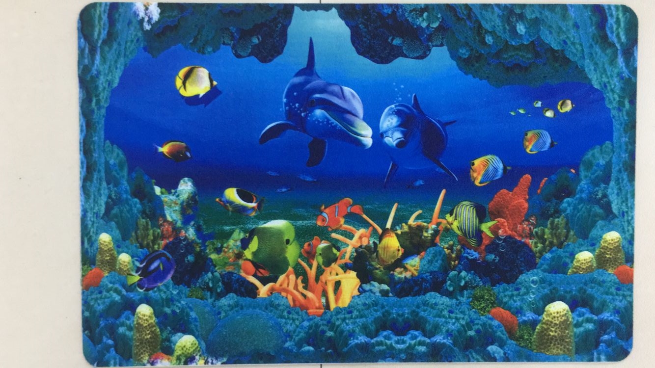 3D hd color printing floor mat non-slip mat non-woven printed floor mat door mat foot mat household mat
