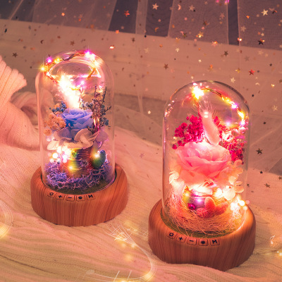 Wishing streamer bottle Micro landscape LED ambient light Bluetooth music Eternal flower creative night light