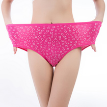Yiwu Selection export Africa Ghana hot selling women's oversized underwear 3XL foreign trade cross-border e-commerce