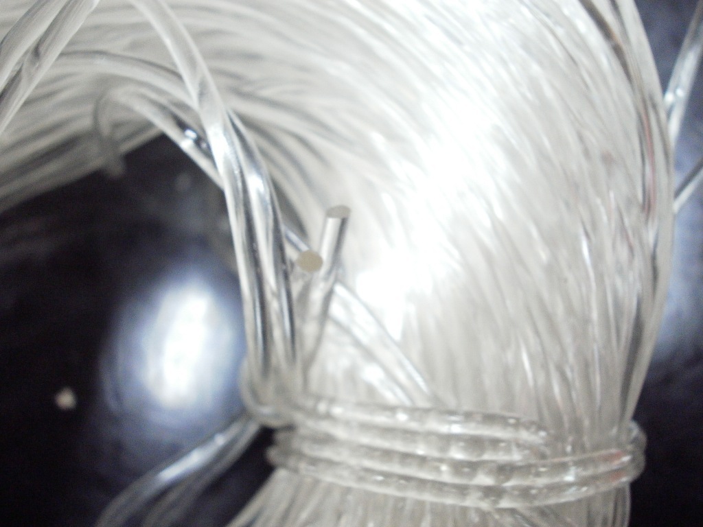 肩带、搭扣实物图