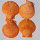 天然贝壳厂家直销 天然黄扇贝5-8cm粉丝扇贝贝壳DIY原料批发图
